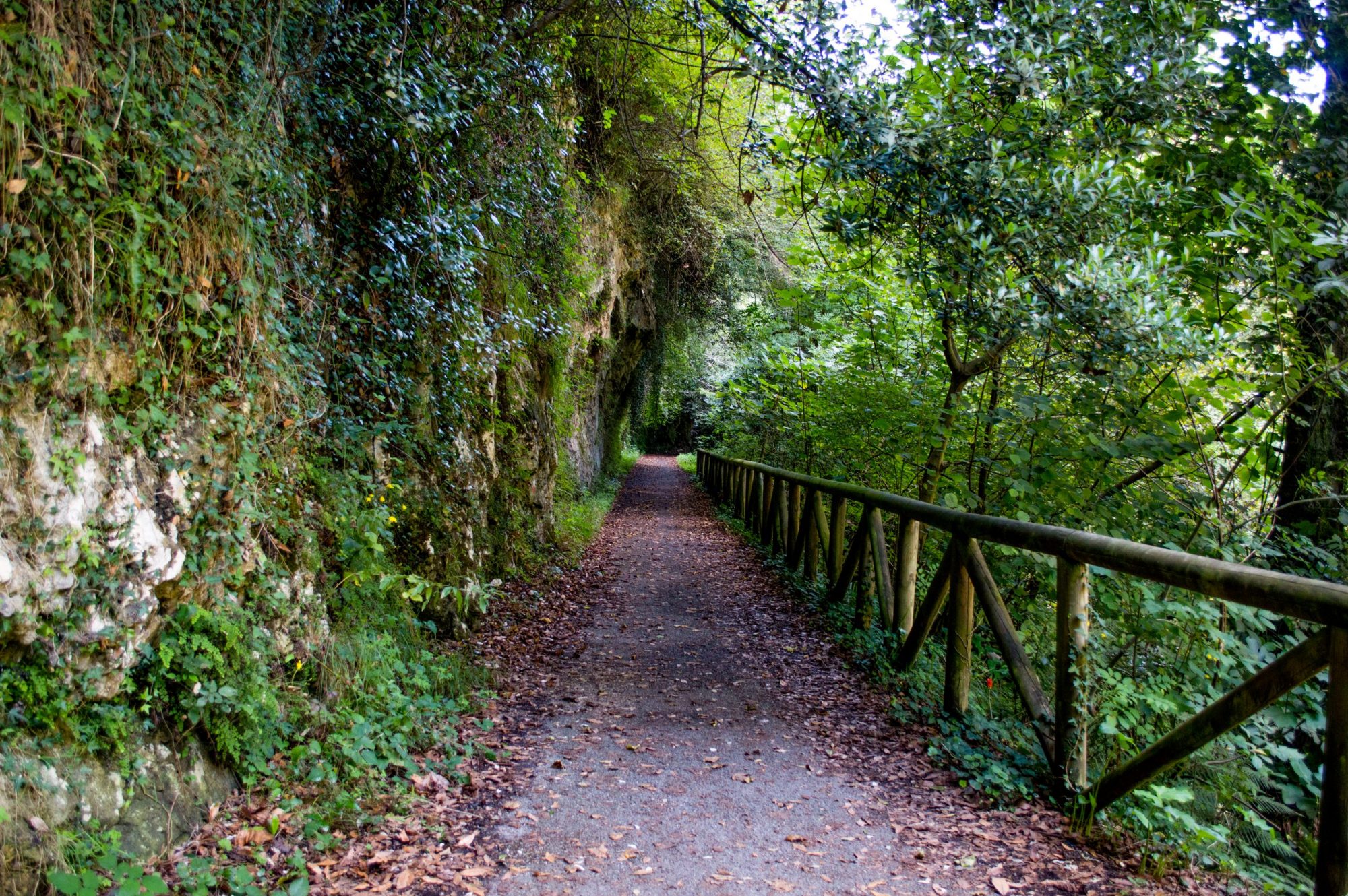 Senda del oso